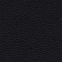 Leder 5423-10 Schwarz