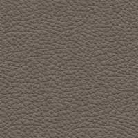 Leder 5423-25 Beigegrau