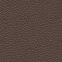 Leder 5423-29 Grüngrau