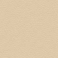 Leder 5423-40 Grünbeige