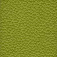 Leder 5624-300 Hellgrün
