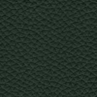 Leder 5624-305 Moosgrün