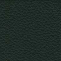 Leder 5624-306 Flaschengrün