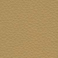 Leder 5624-410 Grünbraun