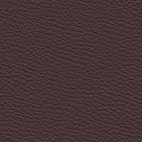 Leder 5661-02 Schokoladenbraun