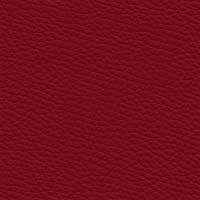 Leder 5662-16 Rotbraun