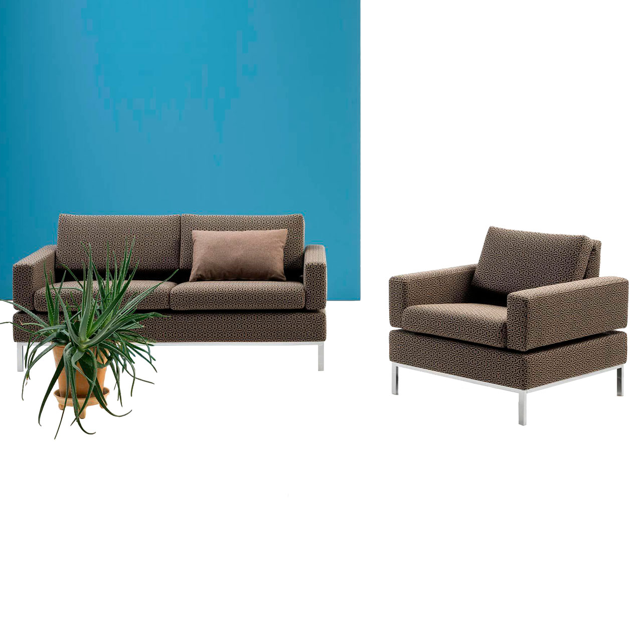 Sofa und Sessel in dunkelbraunem Stoff. Vor dem Sofa steht eine Topfpflanze.