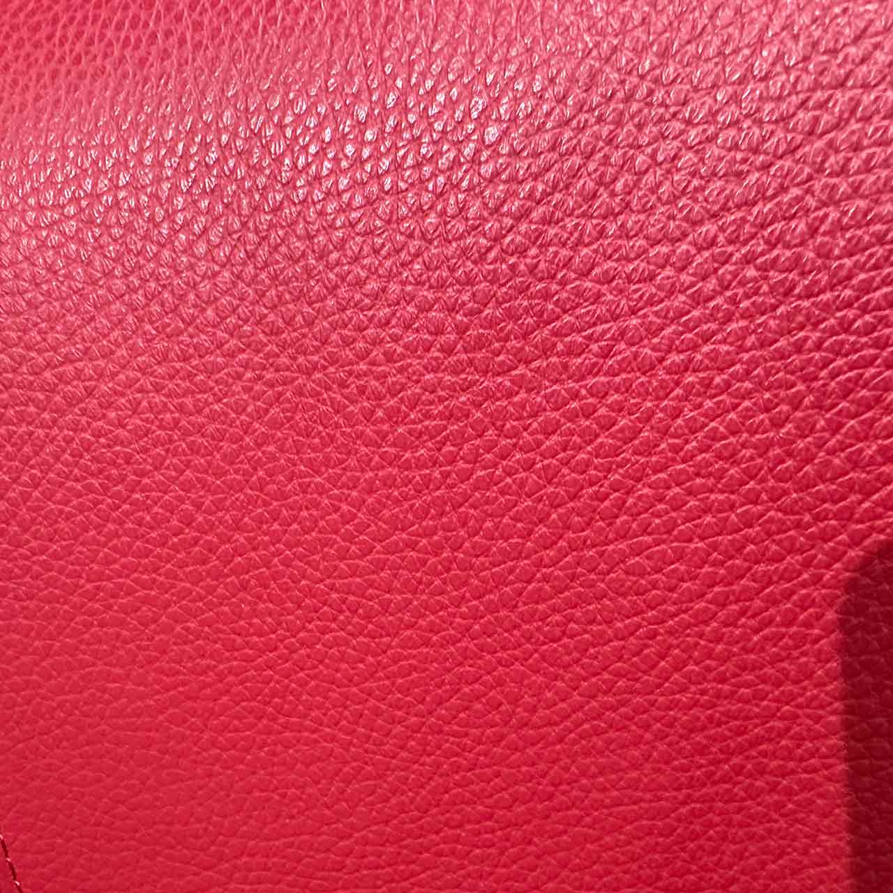 Detailaufnahme des roten Leders zeigt die Poren.