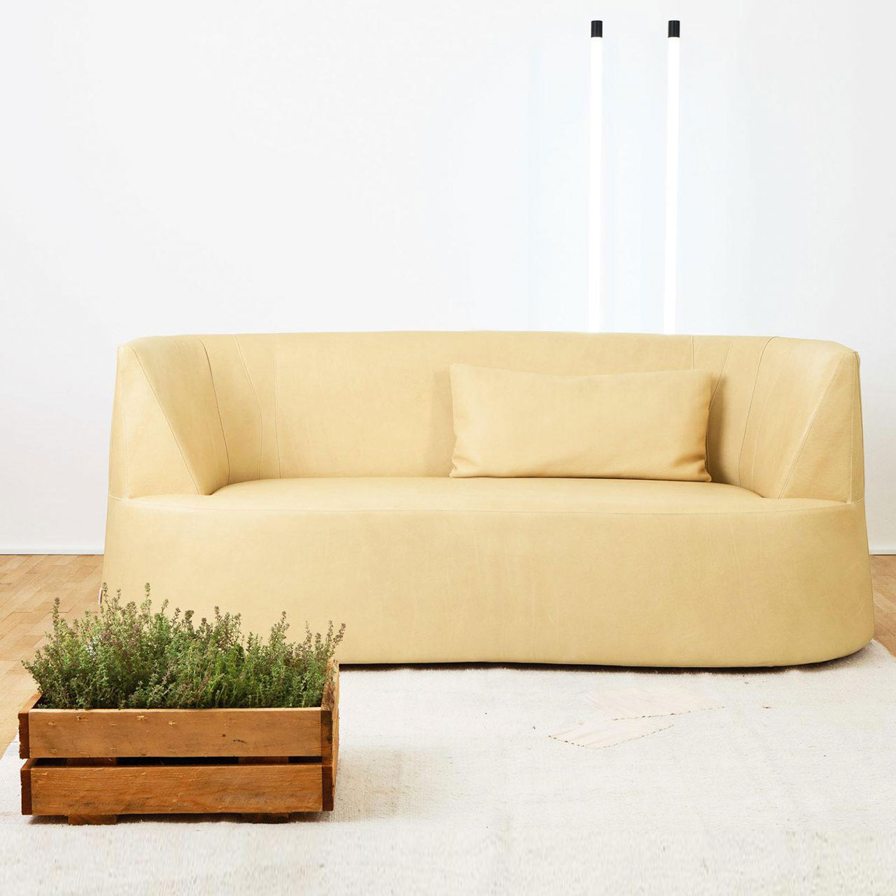 Ambientebild: Hellgelbes Ledersofa vor einer weißen Wand. Davor steht eine bepflanzte Holzkiste.